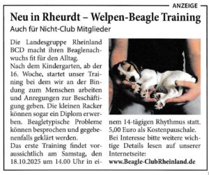 NEU ab Oktober – Welpentraining mit Trainerin Gabi