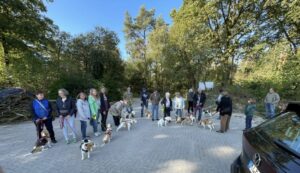 Beagle Spaziergang im September bei Sonnenschein und bester Stimmung, Artikel aus dem Beaglebrief IV.2025